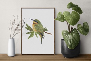 BEE-EATER - 40 x 50