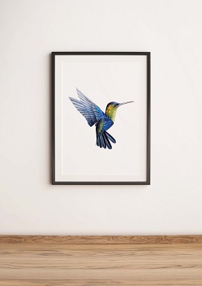 HUMMINGBIRD - 40 x 50