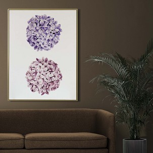HYDRANGEAS - 40 x 50
