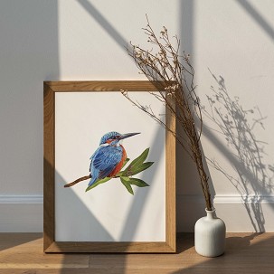 KINGFISHER - 40 x 50
