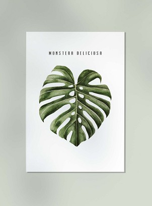 MONSTERA LEAF - 40 x 50