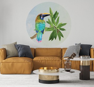 BORNEO - color - 140