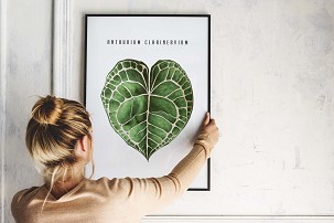 ANTHURIUM LEAF - 50 x 70