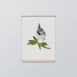 CRESTED TIT - 50 x 70
