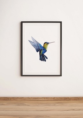HUMMINGBIRD - 50 x 70