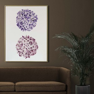 HYDRANGEAS - 50 x 70