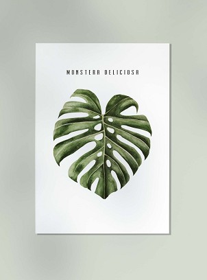 MONSTERA LEAF - 50 x 70
