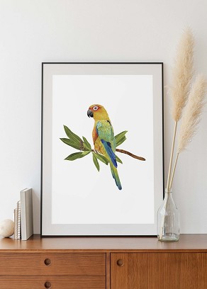 PARROT - 50 x 70