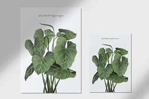 PHILODENDRON - 50 x 70