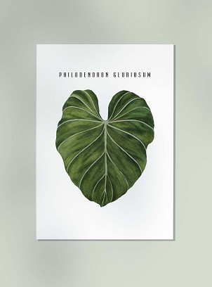 PHILODENDRON LEAF - 50 x 70