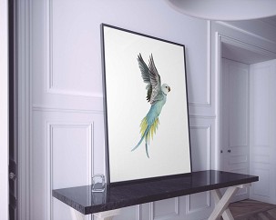 FLYING PARROT - 60 x 90