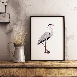 GREY HERON - 60 x 90