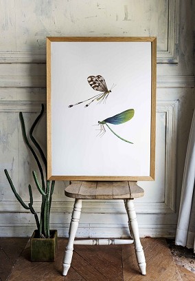 DRAGONFLIES - 60 x 90